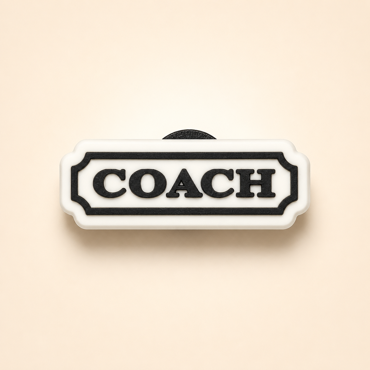 Coach Logo N&B