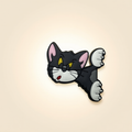 Tom Pas Content Tom & Jerry